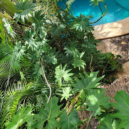 Appartement The Secret Garden Tulum Extérieur photo