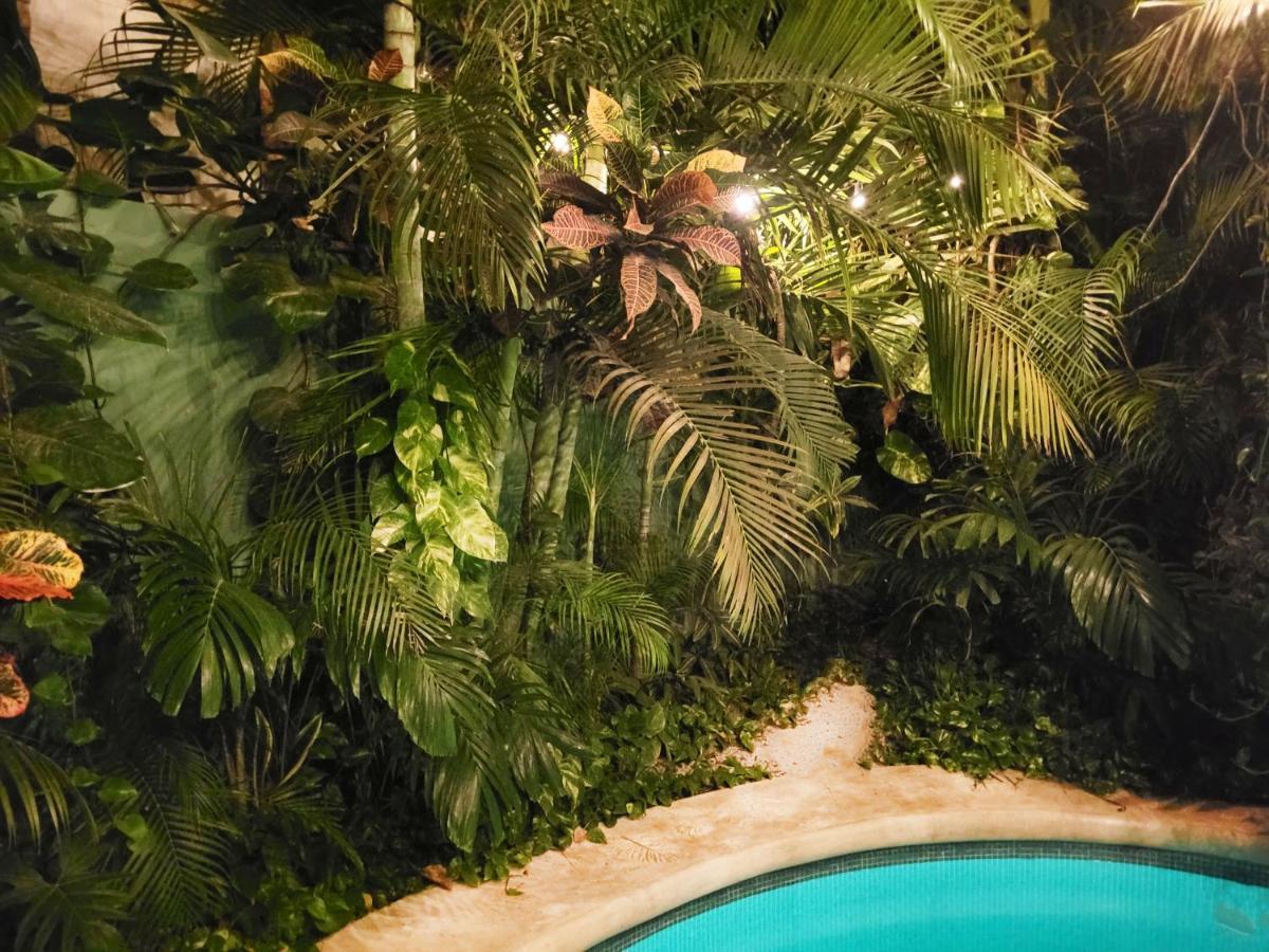 Appartement The Secret Garden Tulum Extérieur photo