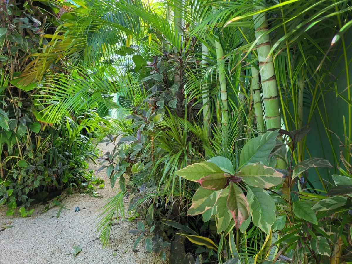 Appartement The Secret Garden Tulum Extérieur photo
