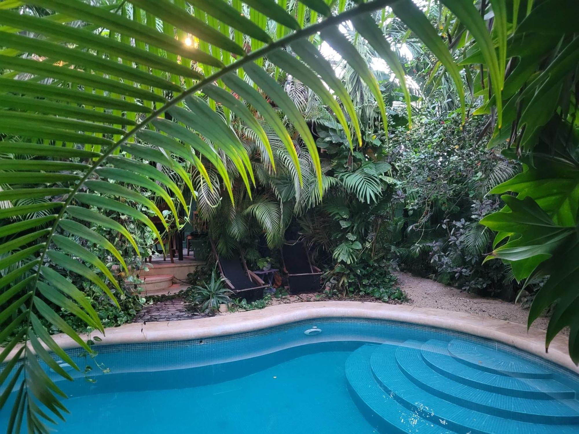 Appartement The Secret Garden Tulum Extérieur photo