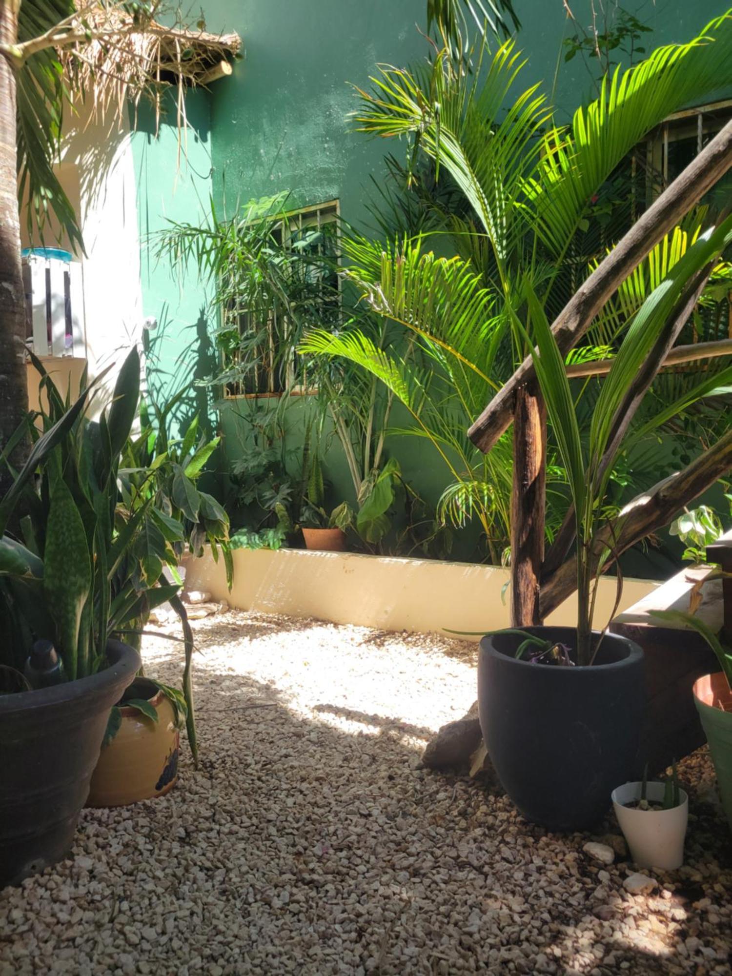 Appartement The Secret Garden Tulum Extérieur photo