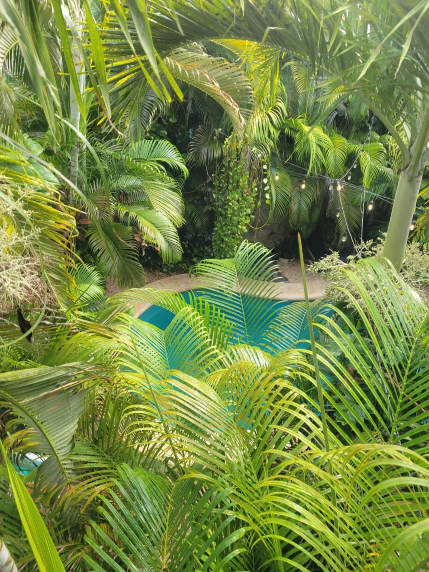 Appartement The Secret Garden Tulum Extérieur photo