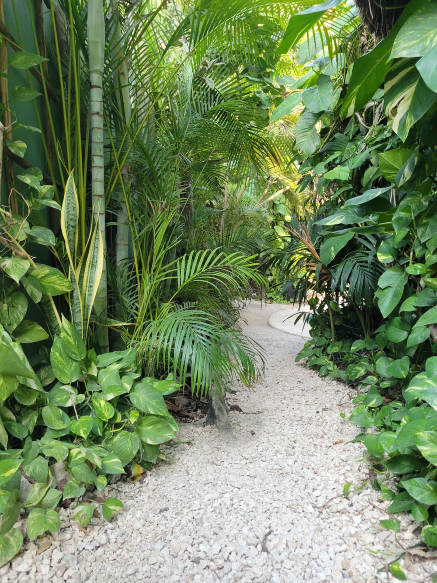 Appartement The Secret Garden Tulum Extérieur photo