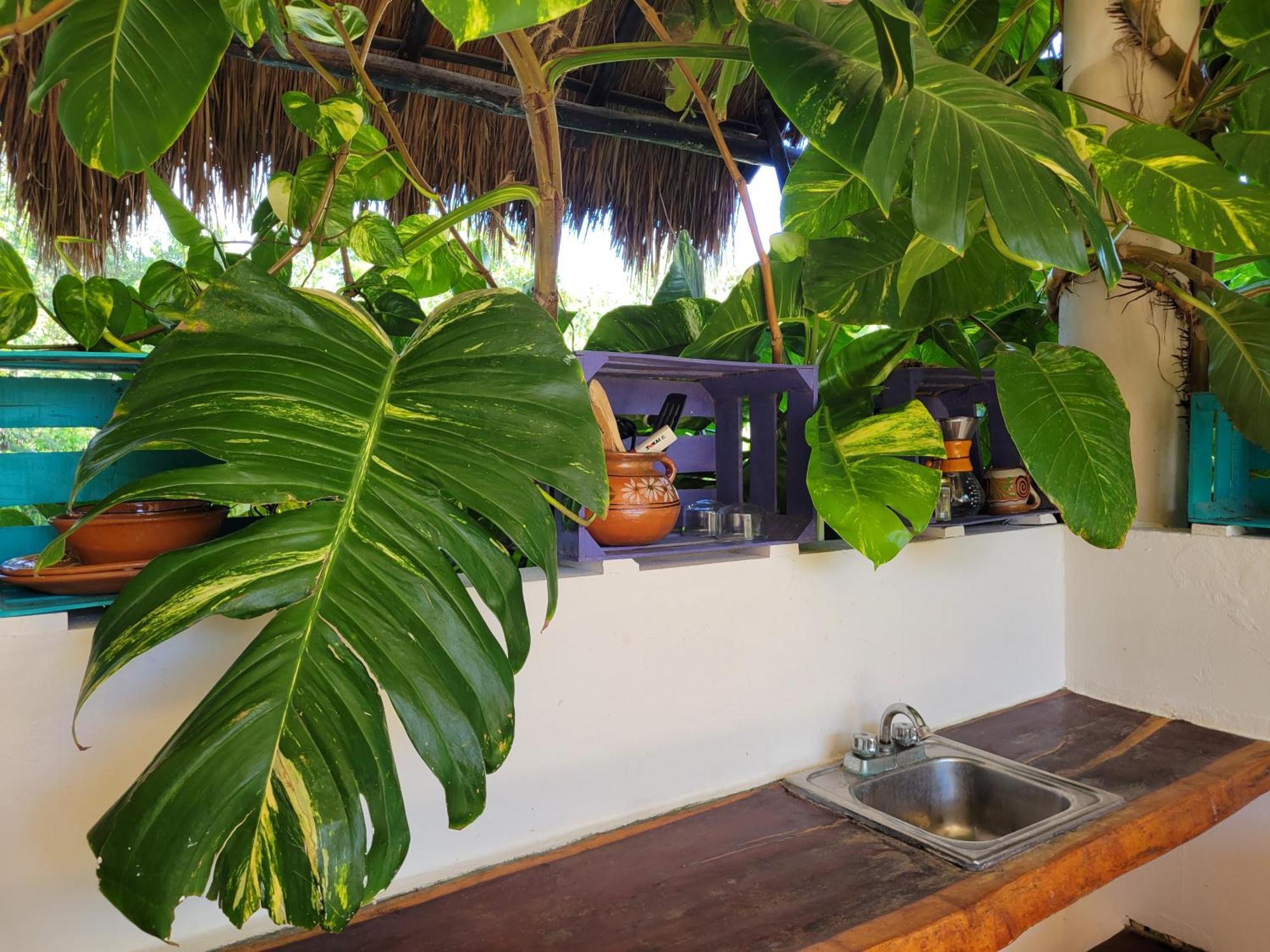 Appartement The Secret Garden Tulum Extérieur photo
