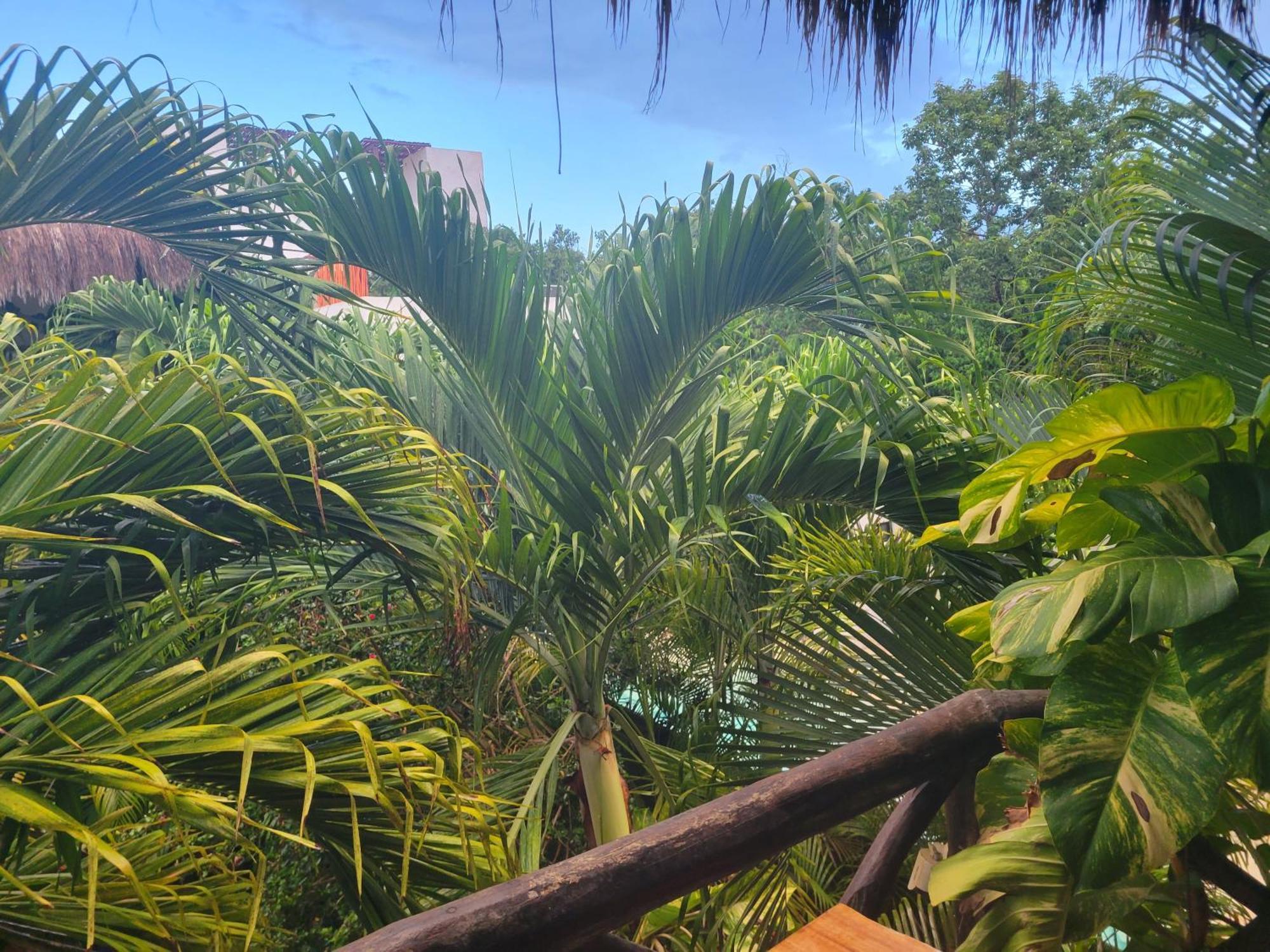 Appartement The Secret Garden Tulum Extérieur photo